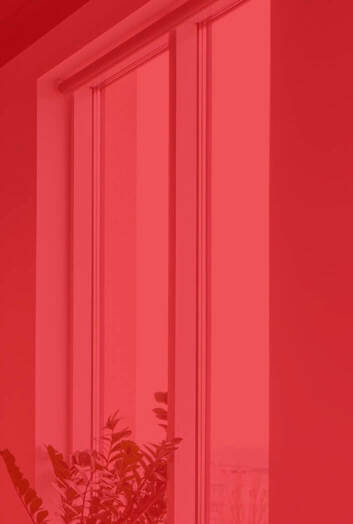 Window with plants in the office of the nearshore development company