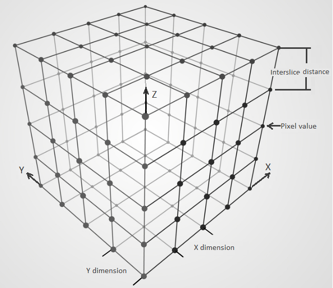 Medical Imaging - Scanned data representation