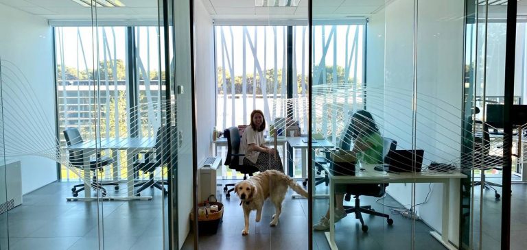 Sigma Software Office in Lisbon