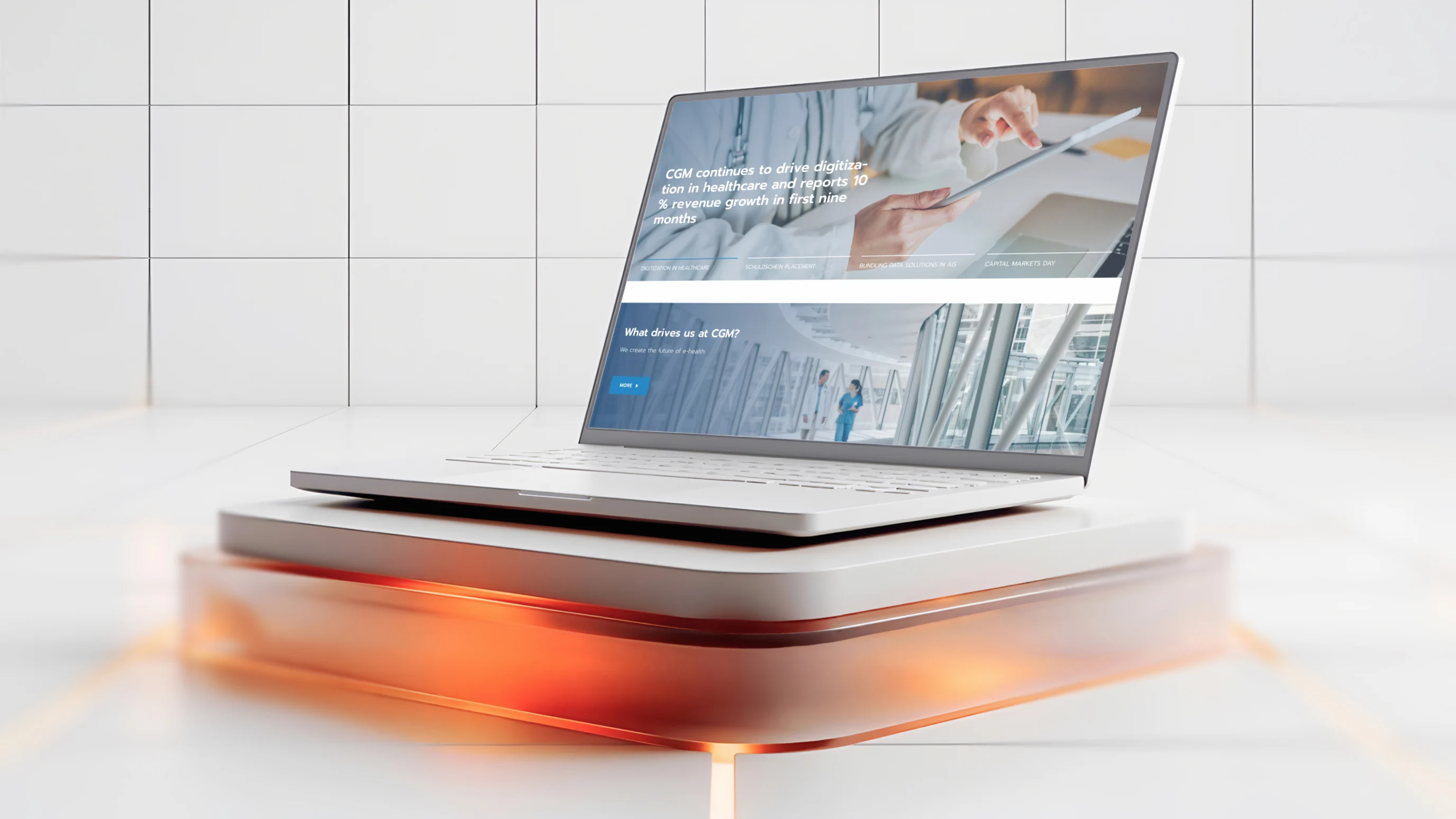 Information security assessment of the products of a global medical software company